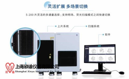 染色體分析160片高通量分析系統(tǒng)畸變微核分析系統(tǒng)XY-AIS-160圖像分析系統(tǒng)