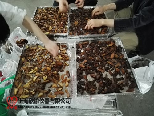 16480196691906.jpg 地黃.jpg